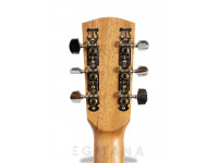APC WG100 APC WG100